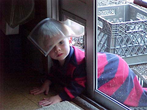 Dog Door Boy><brclear=